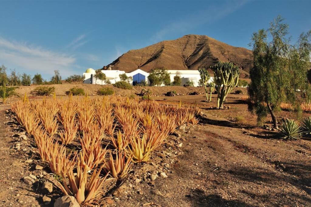 Romantica Fuego - Eco Retreat Finca Artis Tirma Tarajalejo Eksteriør bilde